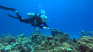 blue planet scuba diving