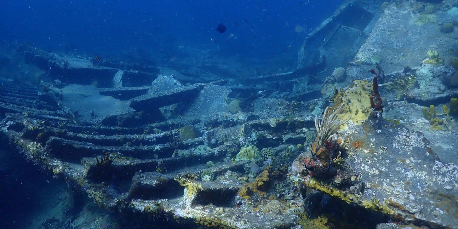 dive wreckage