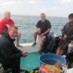 After a dive.